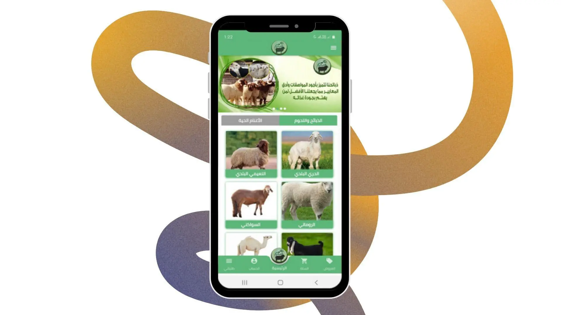 نعم للذبائح